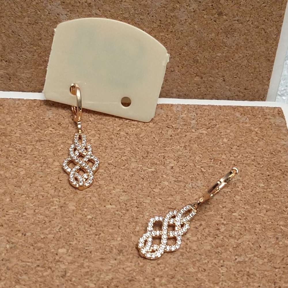 Branding earring